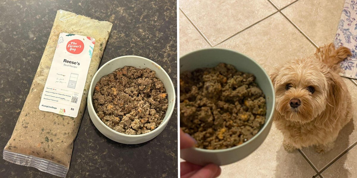 No Avocados: The Farmer's Dog Unique British Pub Menu